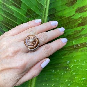 Seashell glazed ring